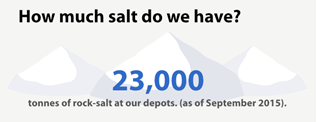How much salt do we have?