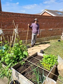 Albert Rd garden