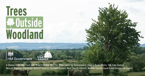 Trees Outside woodland partner logo