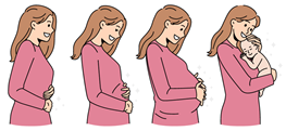 A time lapse illustration showing a woman in the early, middle and late stages of pregnancy and then after she has had the baby.